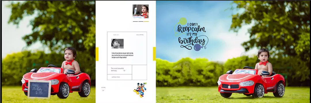 Birthday Album 12 x 36 Designs ideas